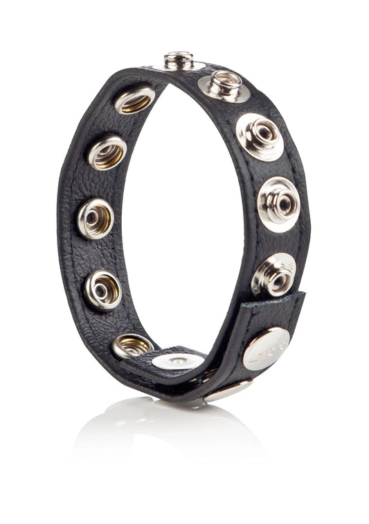 Bestel: COLT Leather C/B Strap 8 - Snap Fastener by CalExotics - bij Happytoys: de erotische sex webshop | liever Happy dan Easy ⭐⭐⭐⭐⭐ - Default Title - 13268 - BLACK