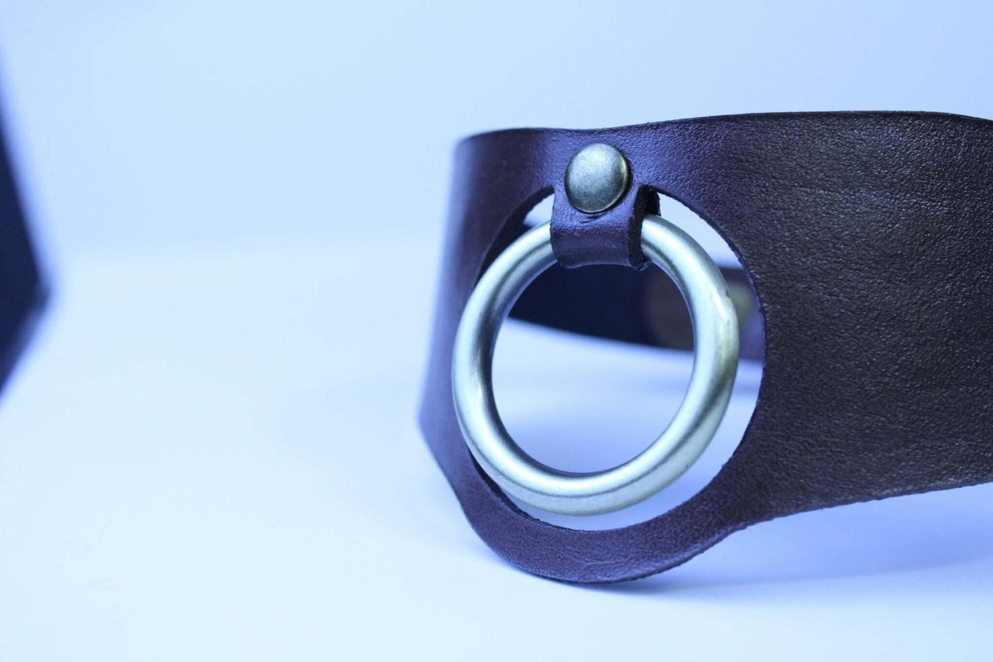 Minimalist BDSM collar Leather Posture Choker with O-Ring - Happytoys Sexshop: online sex shop for Feeling Happy & Easy π - Discreet geleverd