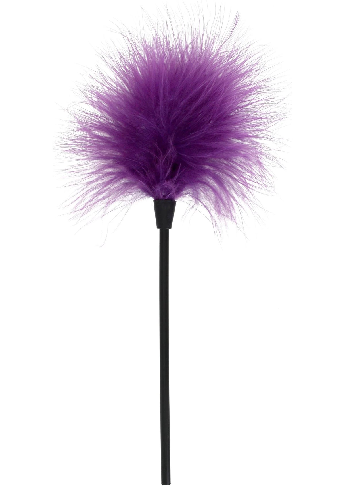 Bestel: Sexy Feather Tickler by ToyJoy - bij Happytoys: de erotische sex webshop | liever Happy dan Easy ⭐⭐⭐⭐⭐ - Paars - 10305 - PURPLE