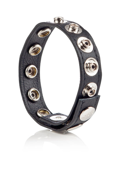 Bestel: COLT Leather C/B Strap 8 - Snap Fastener by CalExotics - bij Happytoys: de erotische sex webshop | liever Happy dan Easy ⭐⭐⭐⭐⭐ - Default Title - 13268 - BLACK