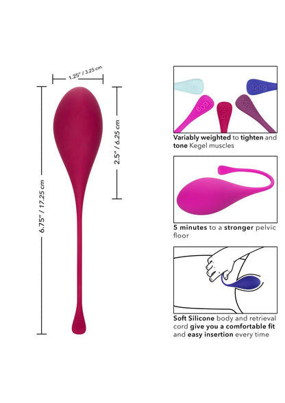 Bestel: Kegel Training 5 - Piece Set bekkenbodem trainer by CalExotics - bij Happytoys: de erotische sex webshop | liever Happy dan Easy ⭐⭐⭐⭐⭐