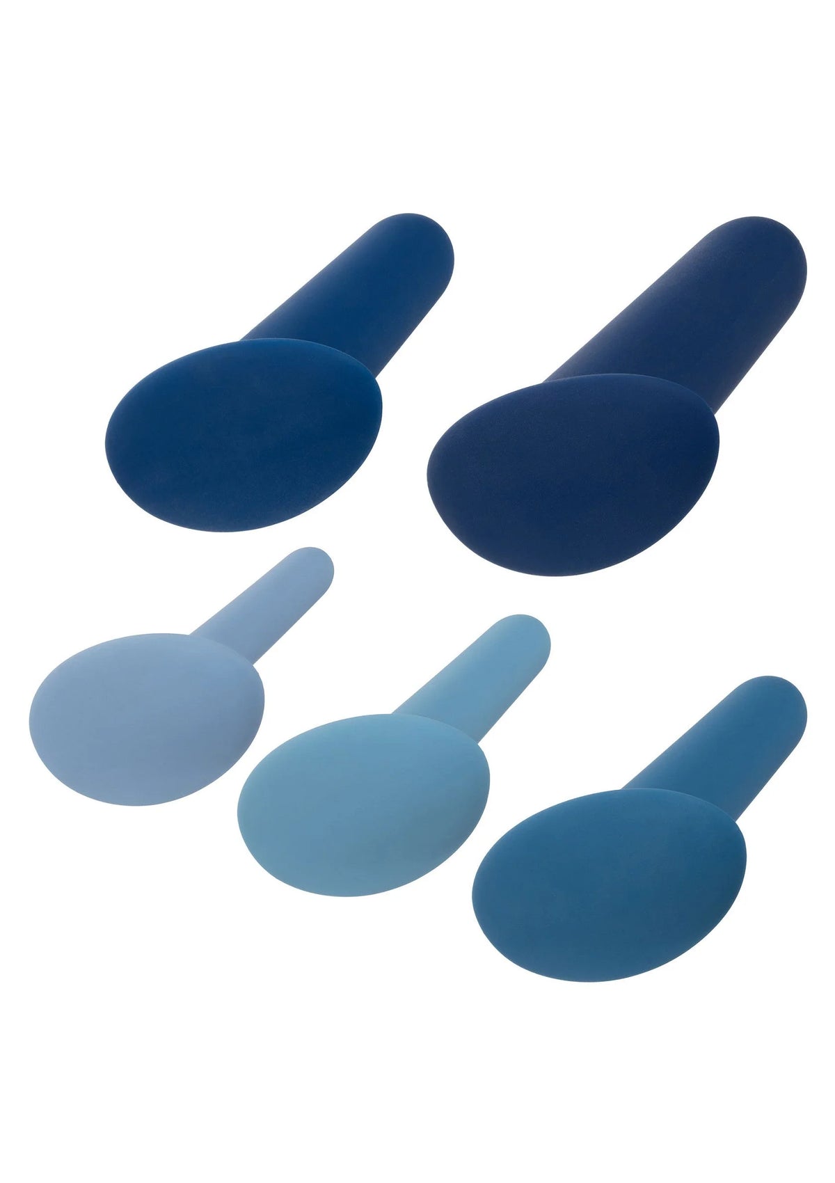 Bestel: They - ology 5 - Piece Wearable Anal Training Set by CalExotics - bij Happytoys: de erotische sex webshop | liever Happy dan Easy ⭐⭐⭐⭐⭐