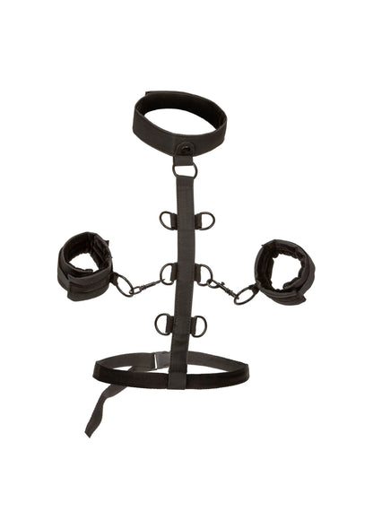 Bestel: Boundless Collar Body Restraint by CalExotics - bij Happytoys: de erotische sex webshop | liever Happy dan Easy ⭐⭐⭐⭐⭐ - Default Title - 14228 - BLACK