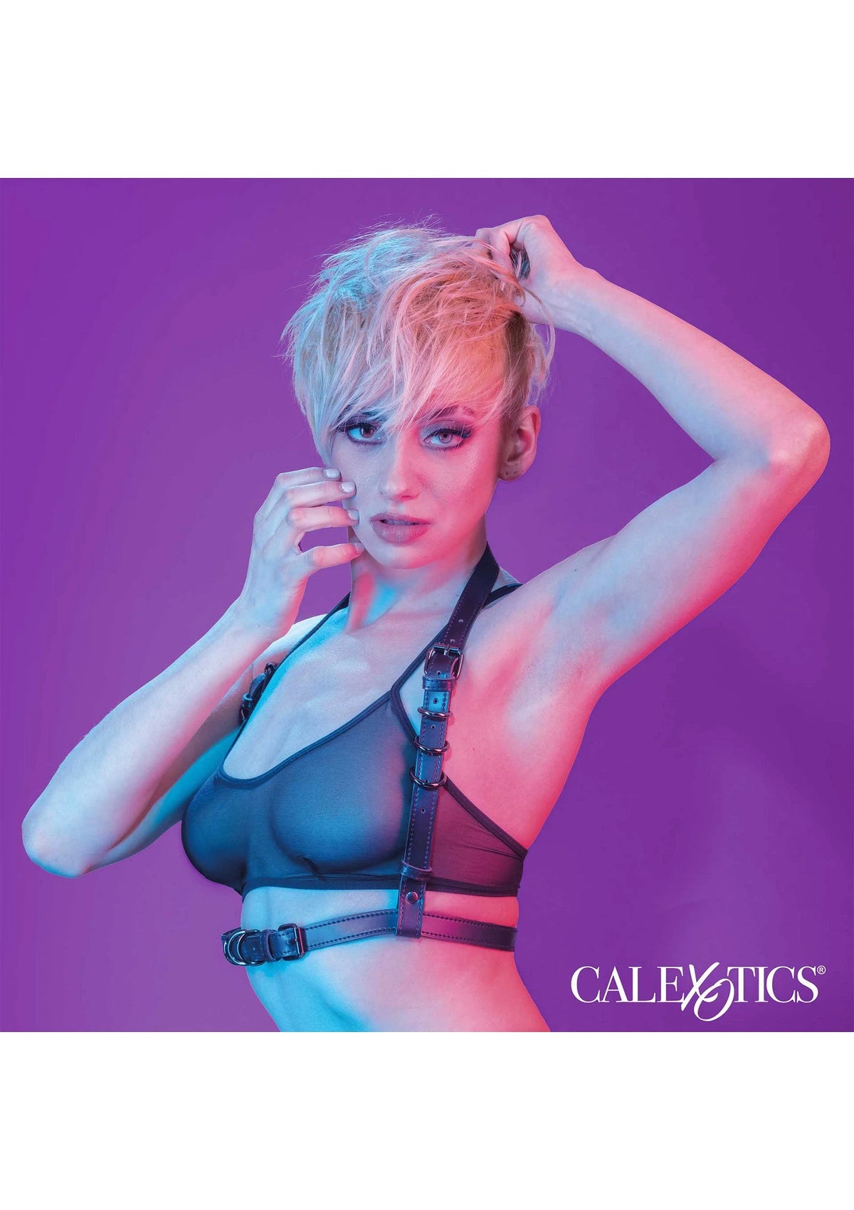 Bestel: Euphoria Collection Halter Buckle Harness by CalExotics - bij Happytoys: de erotische sex webshop | liever Happy dan Easy ⭐⭐⭐⭐⭐