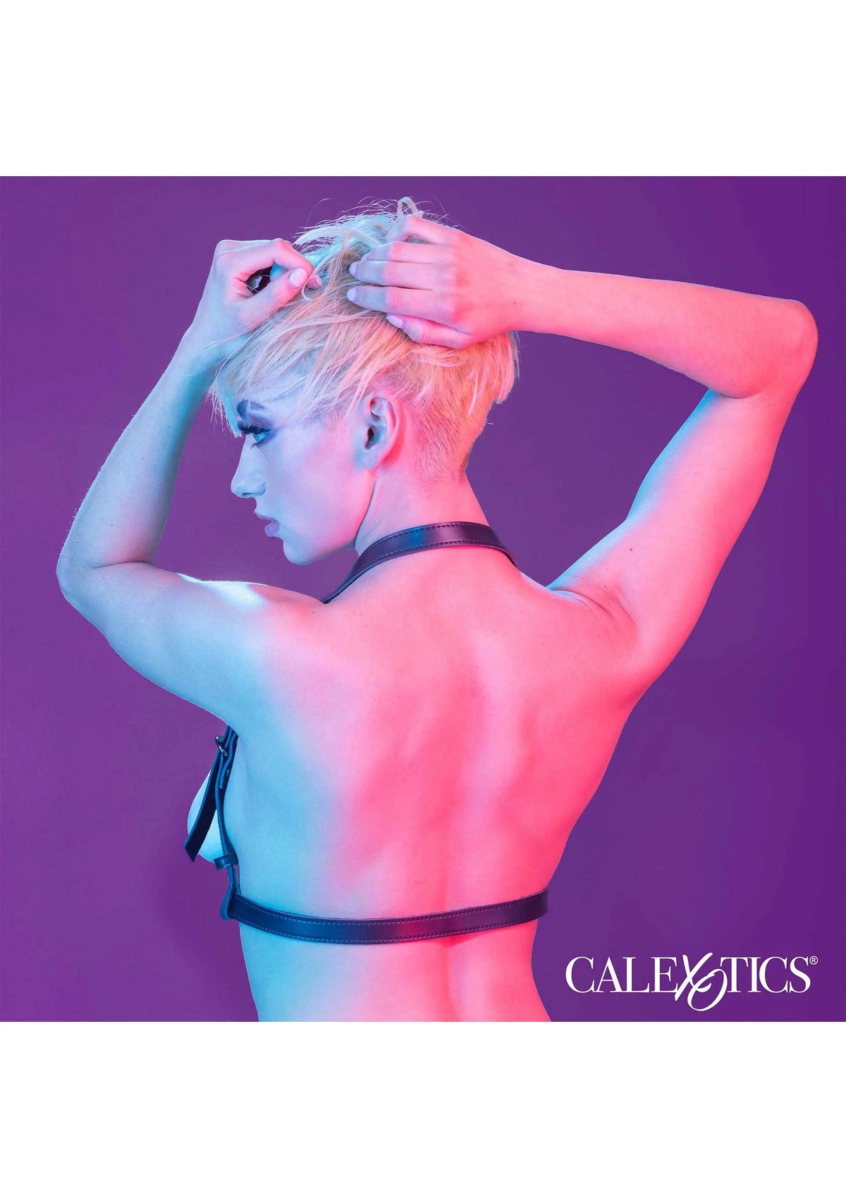 Bestel: Euphoria Collection Halter Buckle Harness by CalExotics - bij Happytoys: de erotische sex webshop | liever Happy dan Easy ⭐⭐⭐⭐⭐