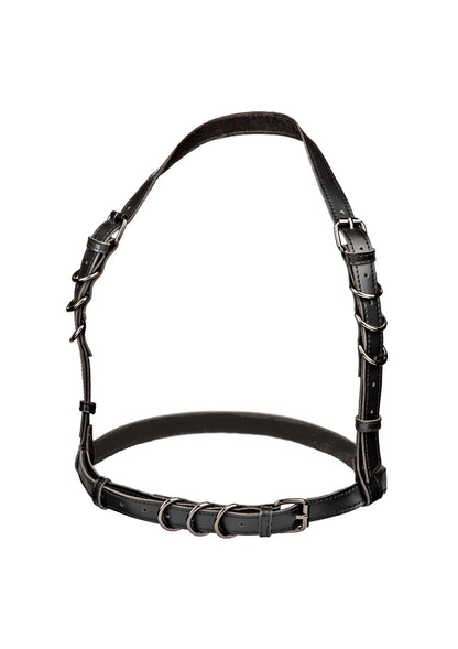 Bestel: Euphoria Collection Plus Size Halter Buckle Harness by CalExotics - bij Happytoys: de erotische sex webshop | liever Happy dan Easy ⭐⭐⭐⭐⭐ - Default Title - 16703 - BLACK