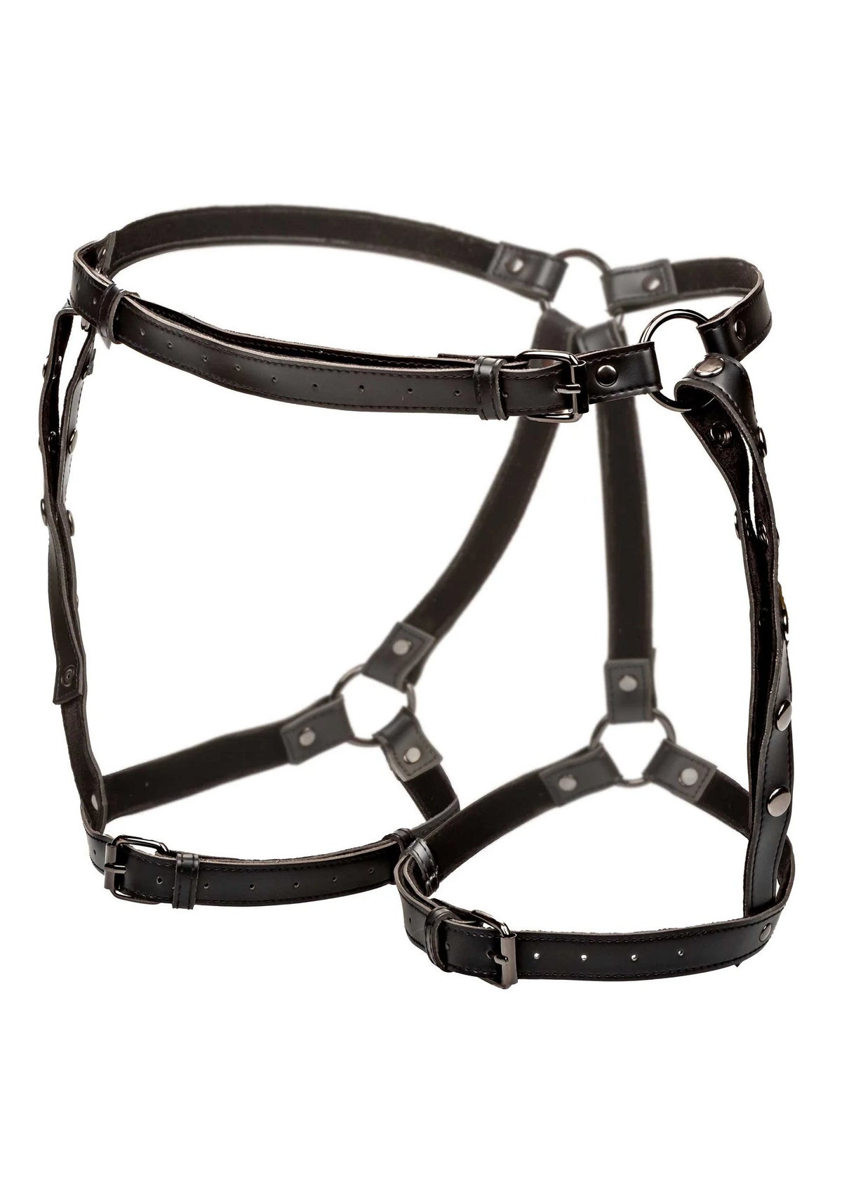 Bestel: Euphoria Collection Plus Size Riding Thigh Harness by CalExotics - bij Happytoys: de erotische sex webshop | liever Happy dan Easy ⭐⭐⭐⭐⭐ - Default Title - 16707 - BLACK