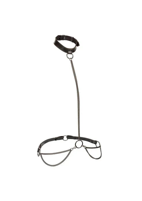Chain Halter & Collar by CalExotics - Happytoys Sexshop: online sex shop for Feeling Happy & Easy 😊 - Discreet geleverd