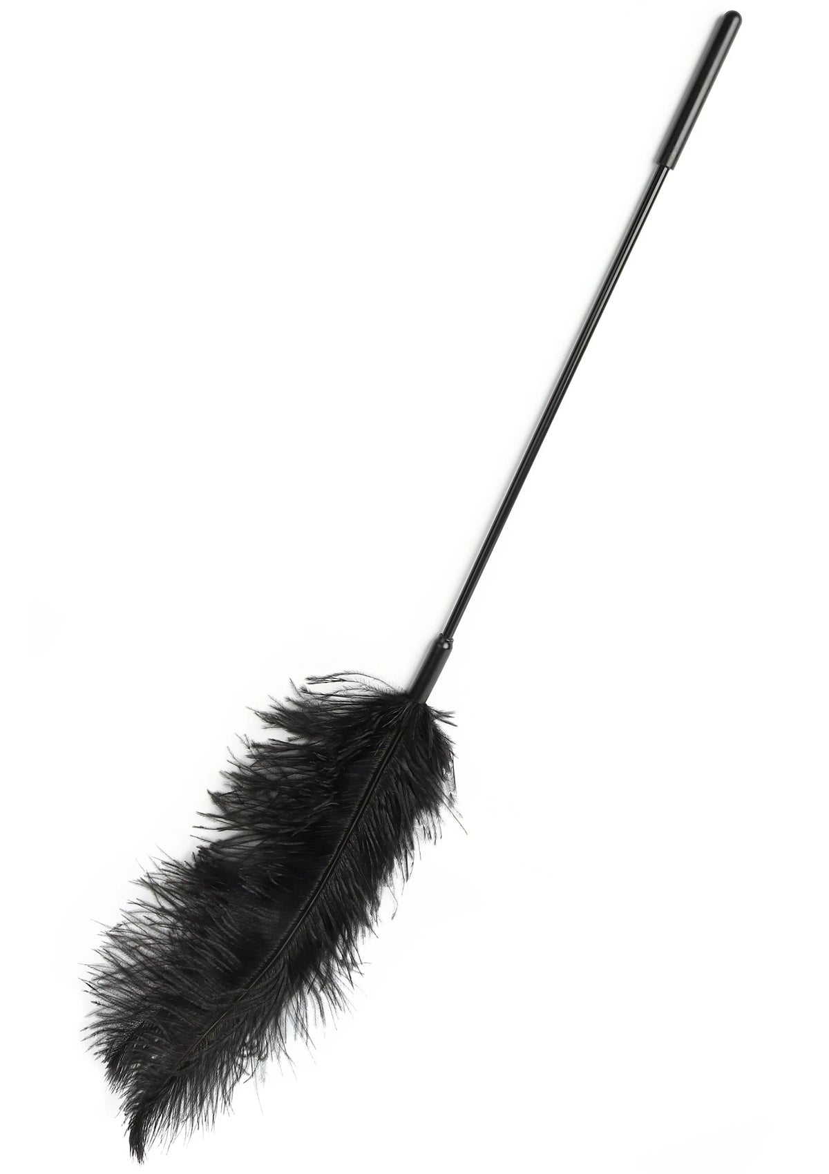 Bestel: Double Feather Tickler by Hidden Desire Extreme - bij Happytoys: de erotische sex webshop | liever Happy dan Easy ⭐⭐⭐⭐⭐ - Blauw - 16899 - BLACK