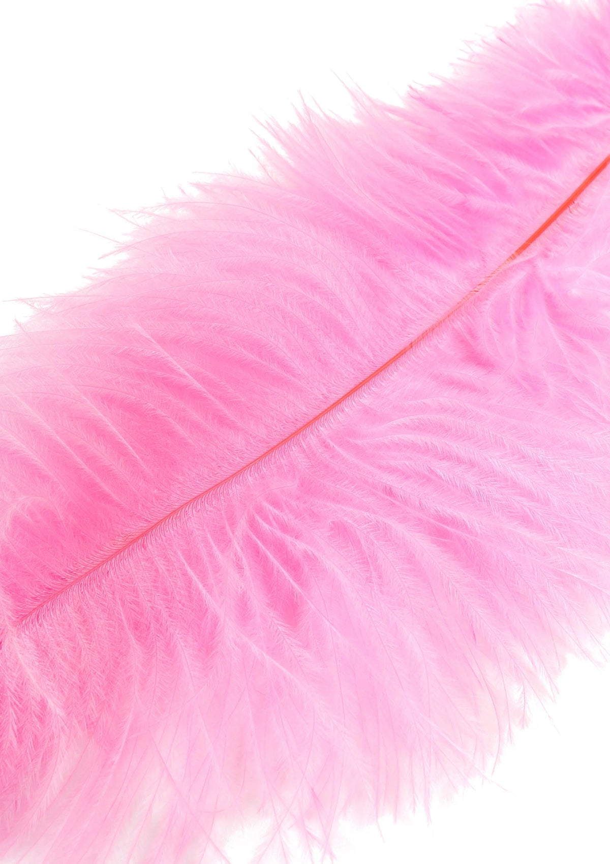 Bestel: Double Feather Tickler by Hidden Desire Extreme - bij Happytoys: de erotische sex webshop | liever Happy dan Easy ⭐⭐⭐⭐⭐