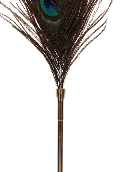 Bestel: Dona Peacock Tickler by Taboom - bij Happytoys: de erotische sex webshop | liever Happy dan Easy ⭐⭐⭐⭐⭐