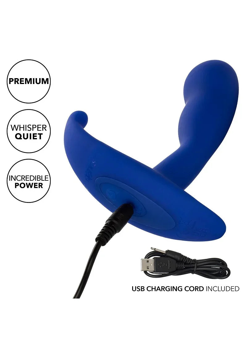 Admiral Advanced Curved Probe by CalExotics - Happytoys Sexshop: online sex shop for Feeling Happy & Easy 😊 - Discreet geleverd