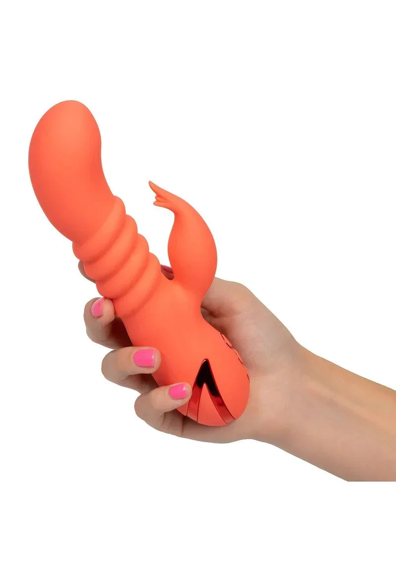 CalExoticsCaliforniaDreamingOrangeCountyCutie3 @ Happytoys Sexshop: online sex shop for Feeling Happy & Easy 😊 the erotic store owned by a woman