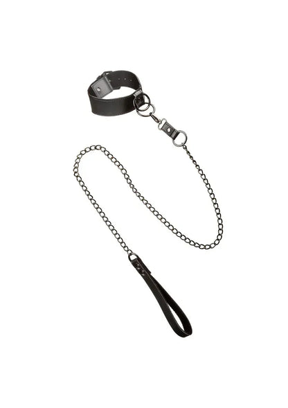 CalExoticsEuphoriaCollectionCollarwithChainLeash1 @ Happytoys Sexshop: online sex shop for Feeling Happy & Easy 😊 the erotic store owned by a woman