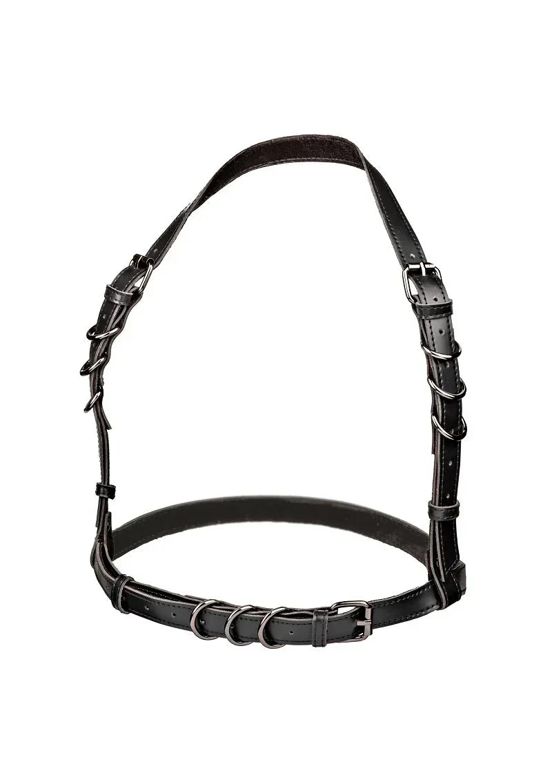 CalExoticsEuphoriaCollectionPlusSizeHalterBuckleHarness1 @ Happytoys Sexshop: online sex shop for Feeling Happy & Easy 😊 the erotic store owned by a woman