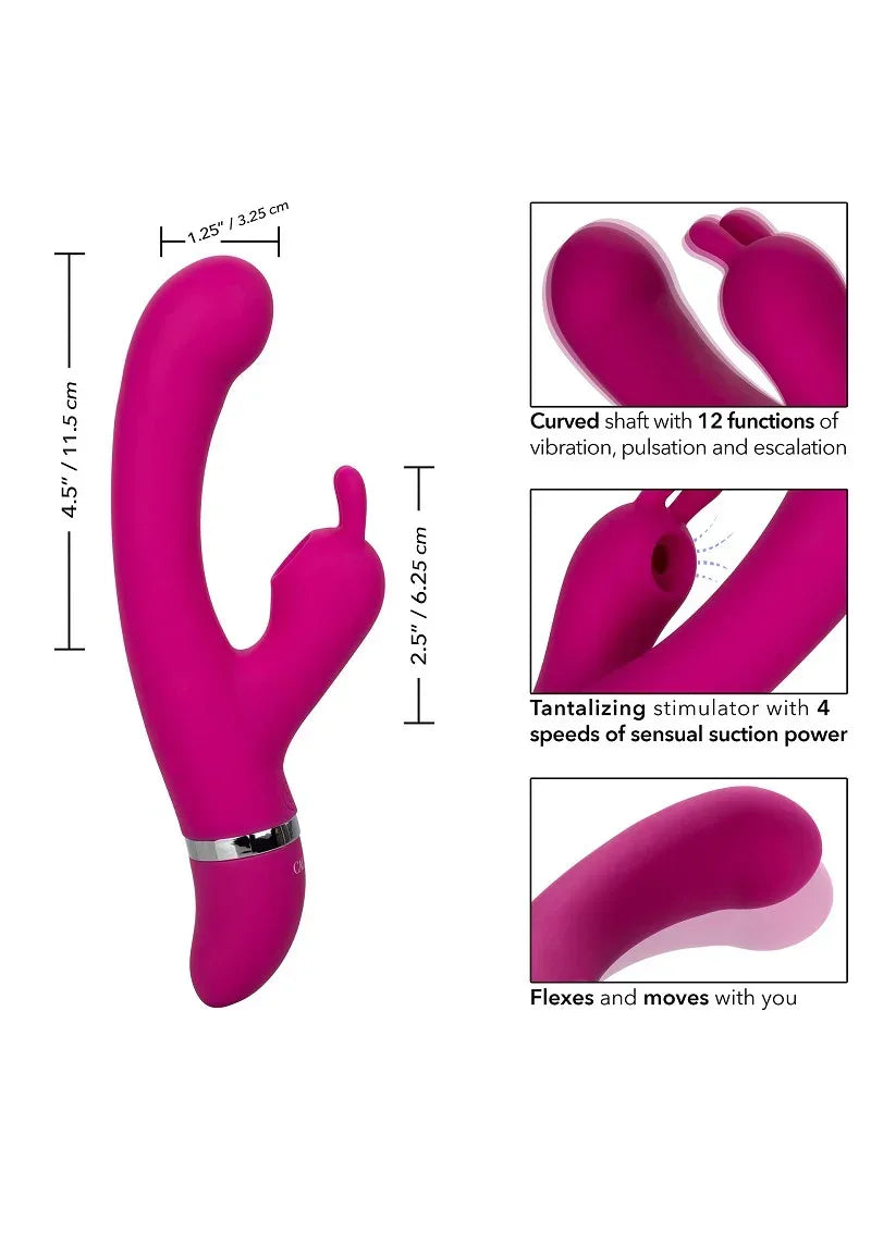 ♀ CalExotics Foreplay Frenzy Bunny Kisser double action suction - Happytoys Sexshop: online sex shop for Feeling Happy & Easy 😊 - Discreet geleverd