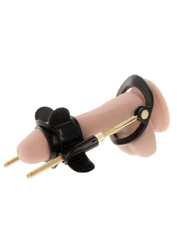 Bestel: Penis Growth Training Comfort Set by Hidden Desire Fusion - X - bij Happytoys: de erotische sex webshop | liever Happy dan Easy ⭐⭐⭐⭐⭐