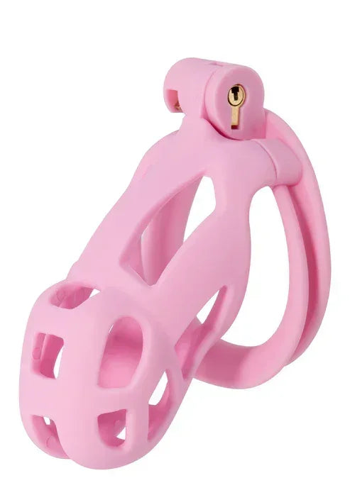 Bestel: Penis Prison Cock Cage Regular by Hidden Desire - bij Happytoys: de erotische sex webshop | liever Happy dan Easy ⭐⭐⭐⭐⭐