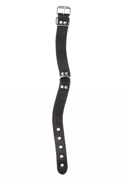 TaboomBondageEssentialsEleganteHalsbandenKettingriem5_9dd4dd3f-22ea-4959-b1ae-1af5018ce1ac @ Happytoys Sexshop: online sex shop for Feeling Happy & Easy 😊 the erotic store owned by a woman