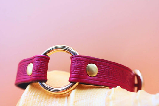 Red Submissive Collar O-Ring Submissive Collar | Sub Jewelry - Happytoys Sexshop: online sex shop for Feeling Happy & Easy 😊 - Discreet geleverd