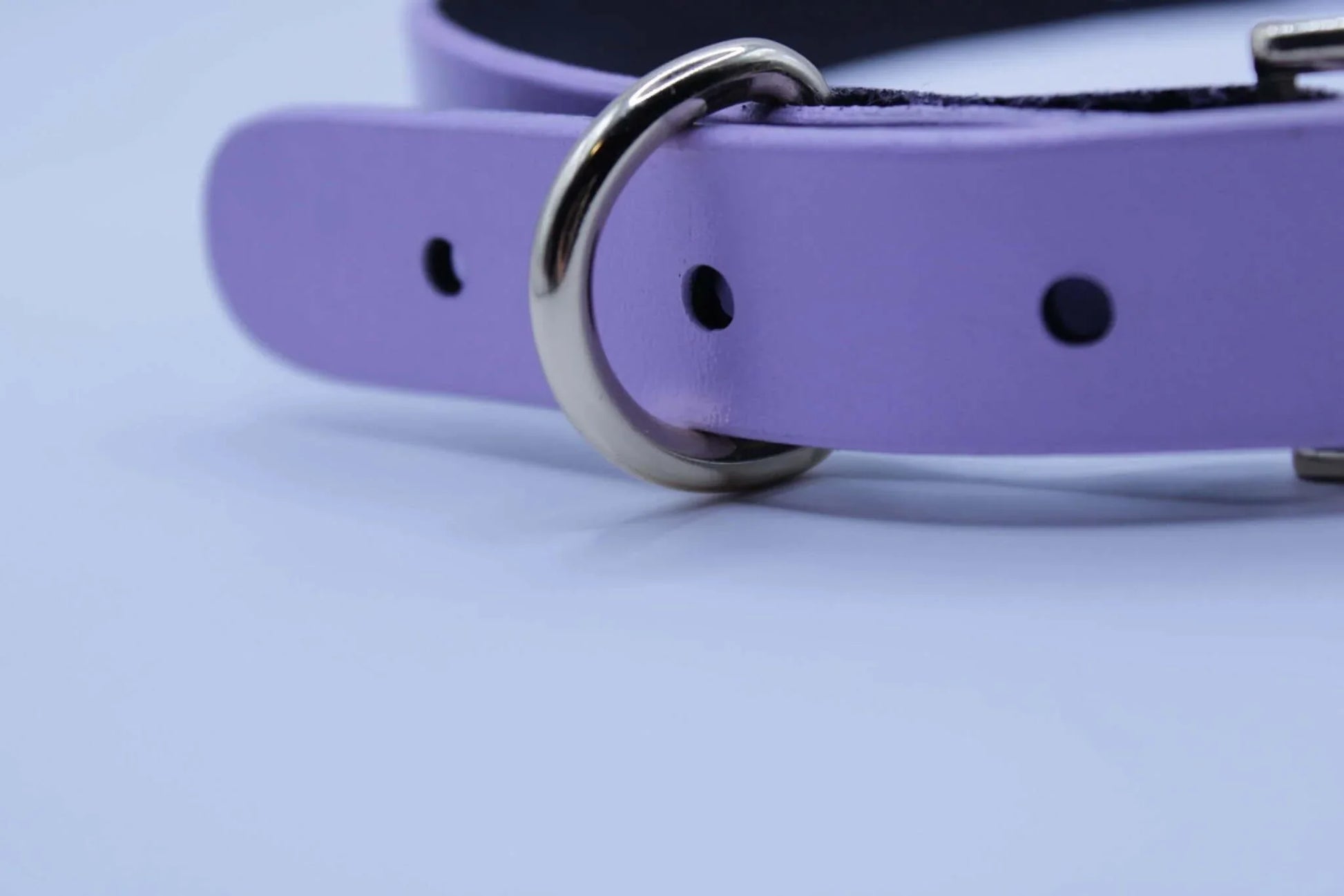 Heart Cutout Leather Choker with Gold O-Ring Slave Collar - Happytoys Sexshop: online sex shop for Feeling Happy & Easy 😊 - Discreet geleverd