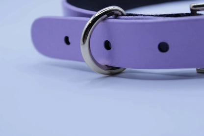 Heart Cutout Leather Choker with Gold O-Ring Slave Collar - Happytoys Sexshop: online sex shop for Feeling Happy & Easy 😊 - Discreet geleverd