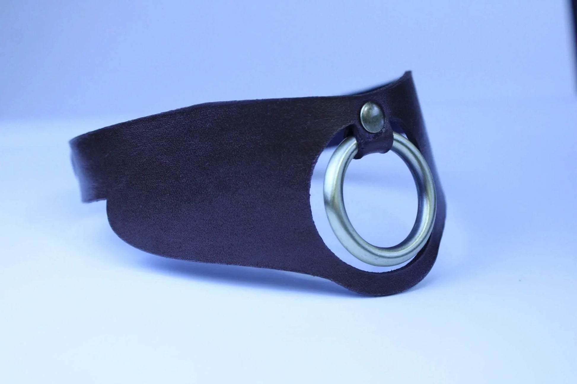 Minimalist BDSM collar Leather Posture Choker with O-Ring - Happytoys Sexshop: online sex shop for Feeling Happy & Easy 😊 - Discreet geleverd