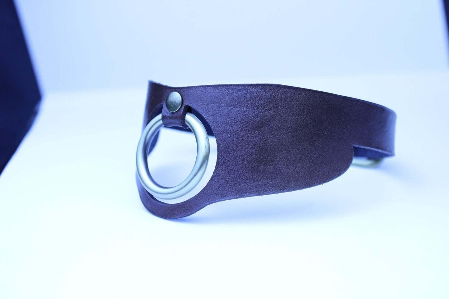 Minimalist BDSM collar Leather Posture Choker with O-Ring - Happytoys Sexshop: online sex shop for Feeling Happy & Easy 😊 - Discreet geleverd