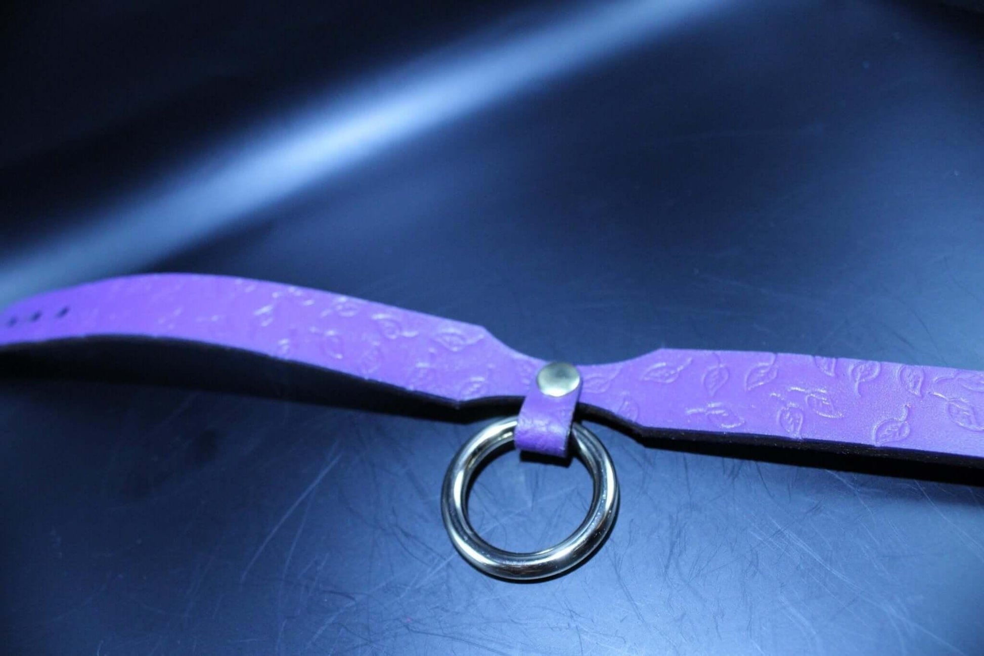 Choker Collar Elegant Purple Leaf O-Ring BDSM Slave Collar - Happytoys Sexshop: online sex shop for Feeling Happy & Easy 😊 - Discreet geleverd